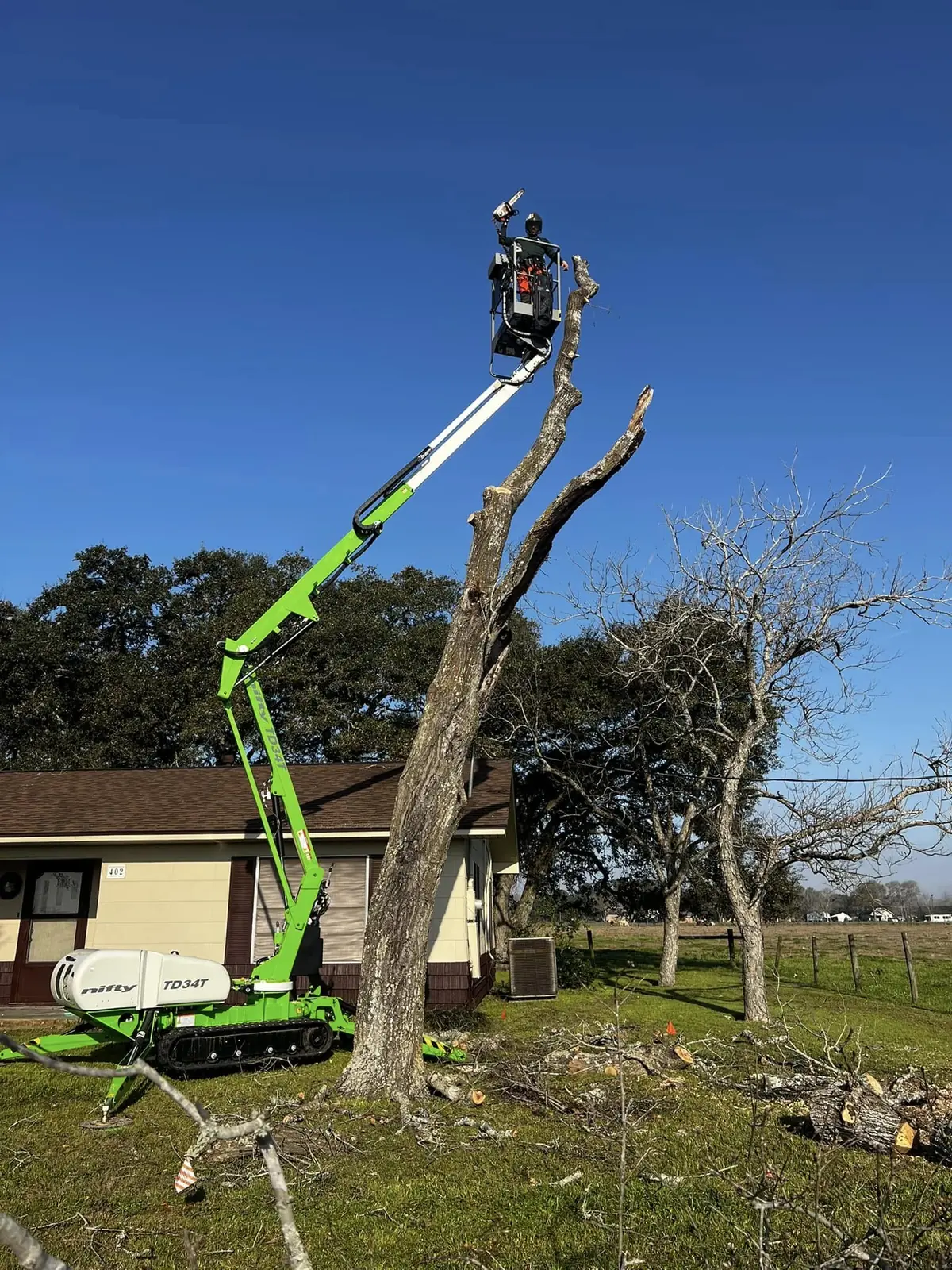 Lift-assisted removal of a damaged tree near a home